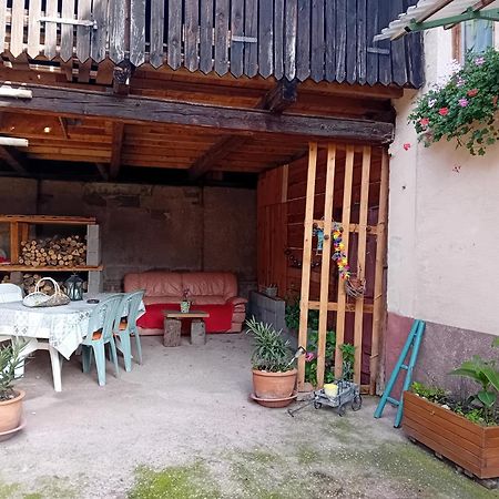 Appartement Spacieux Dans Joli Village Alsacien Chatenois  Exterior photo
